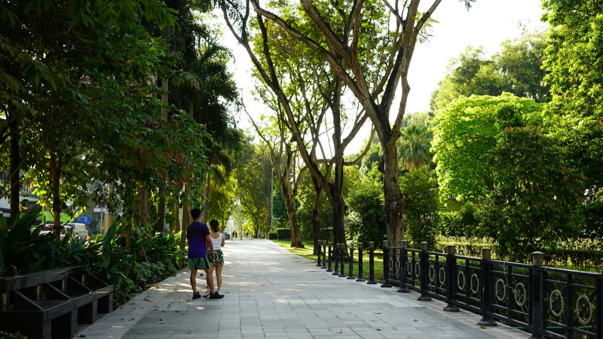 Open Green Space