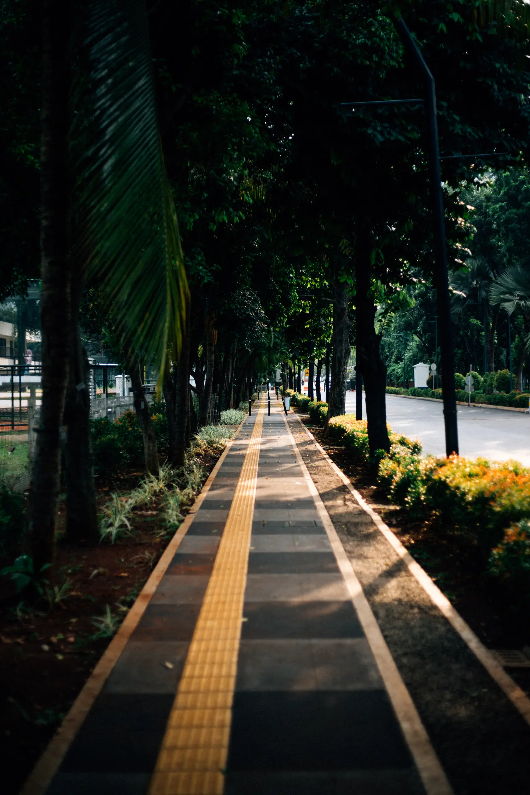 A tree-lined walkway with a yellow tactile guide path, bordered by lush greenery and sunlight filtering through the leaves.